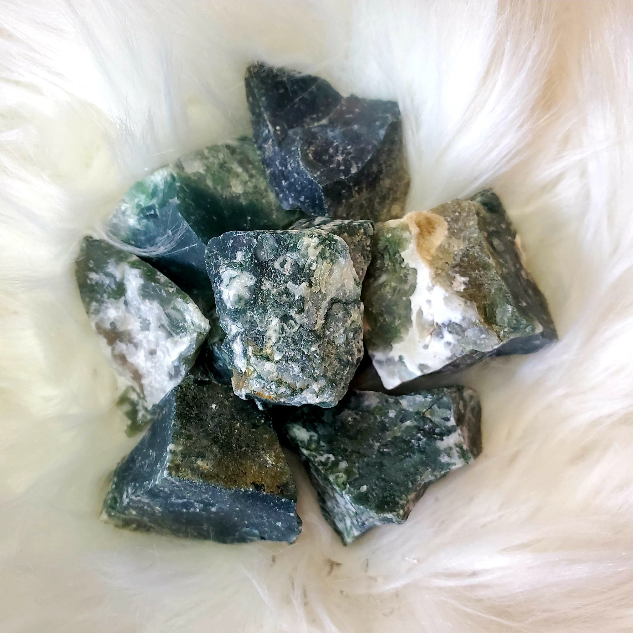 tree agate