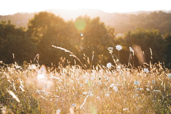 meditation-guidedimagery